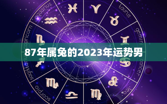 87年属兔的2023年运势男，87年属兔人2023年运势及财运