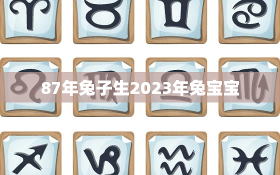 87年兔子生2023年兔宝宝，87年的兔在2023年怎么样