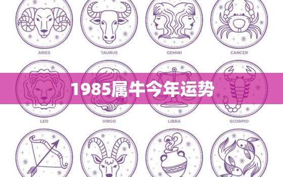 1985属牛今年运势，属牛61年出生今年命运