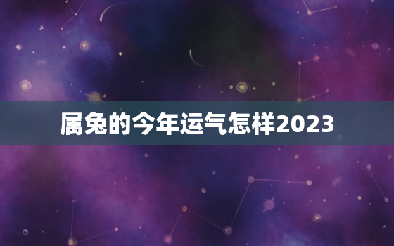 属兔的今年运气怎样2023，属兔的今年运气怎样,87年的