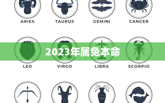 2023年属兔本命
，2023年属兔命太苦