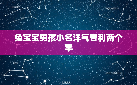 兔宝宝男孩小名洋气吉利两个字，兔宝宝男孩的小名