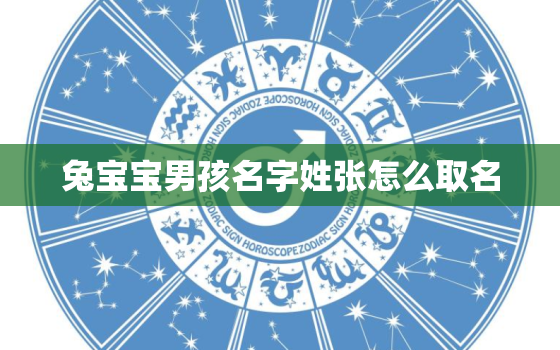 兔宝宝男孩名字姓张怎么取名，属兔姓张的起名大全