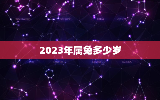 2023年属兔多少岁，2023年属兔多少岁?