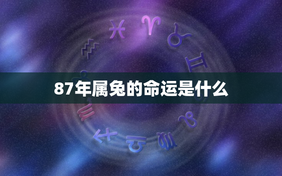 87年属兔的命运是什么，87年属兔的命运怎么样