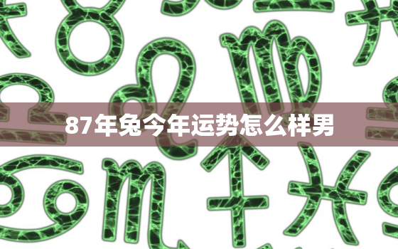 87年兔今年运势怎么样男，87年属兔的男人今年运势