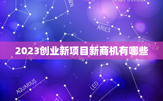 2023创业新项目新商机有哪些，2023年创业发展项目