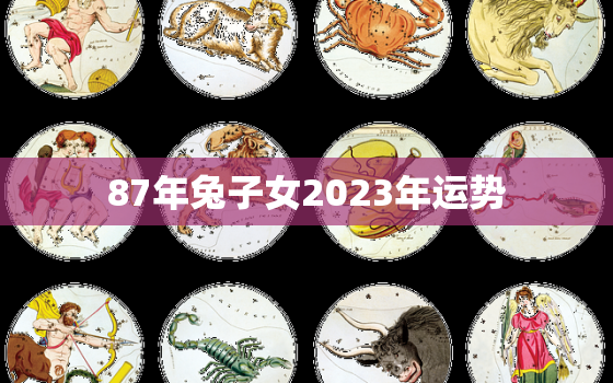 87年兔子女2023年运势，87年兔2023年运势及运程每月运程