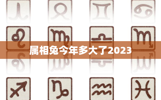 属相兔今年多大了2023，属相兔今年多大了2023年