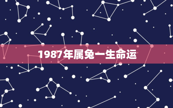 1987年属兔一生命运，1987年属兔子的一生命运