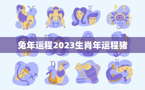 兔年运程2023生肖年运程猪，兔在兔年运势2023运势详解