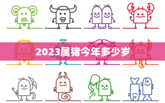 2023属猪今年多少岁，2023属猪今年多少岁了