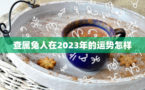 查属兔人在2023年的运势怎样，属兔的2023年的运势怎么样