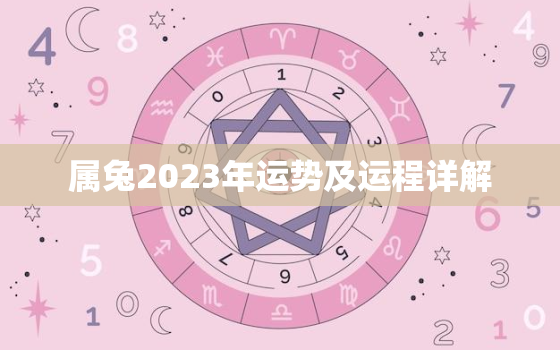 属兔2023年运势及运程详解，2022年属兔的运程