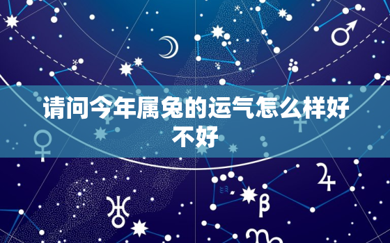 请问今年属兔的运气怎么样好不好，今年属兔的运势怎么样