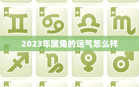 2023年属兔的运气怎么样，2023年属兔的全年运势