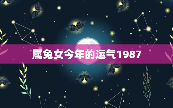 属兔女今年的运气1987，属兔人2021年全年运势1987女