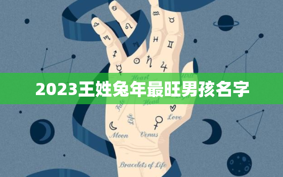 2023王姓兔年最旺男孩名字，王姓兔年男孩取什么名字好