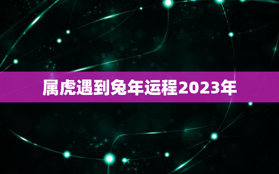 属虎遇到兔年运程2023年，虎年属兔的运势