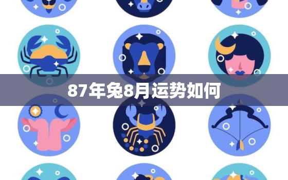 87年兔8月运势如何，87年兔8月份运势