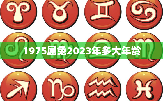 1975属兔2023年多大年龄，1975属兔2023年运势及运程每月运程