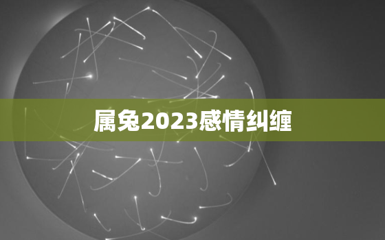 属兔2023感情纠缠，属兔在2023年婚姻怎么样