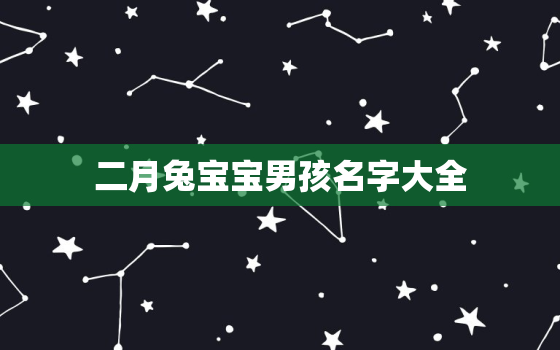 二月兔宝宝男孩名字大全，二月出生的
宝名字