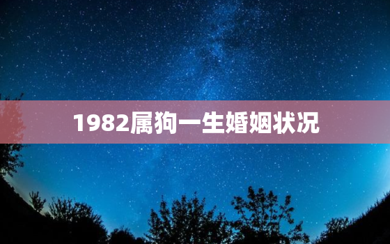 1982属狗一生婚姻状况，1982年属狗一生婚姻情况