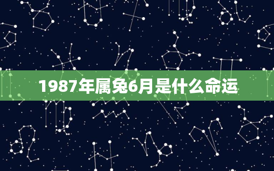 1987年属兔6月是什么命运，1987年属兔6月出生是什么命