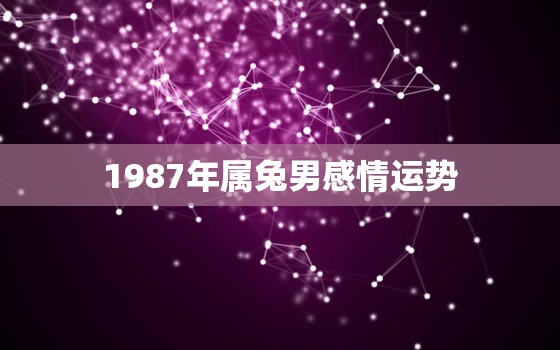 1987年属兔男感情运势，1987年属兔男的婚姻状况