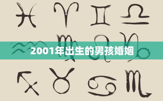 2001年出生的男孩婚姻，2001年出生的男孩婚姻状况