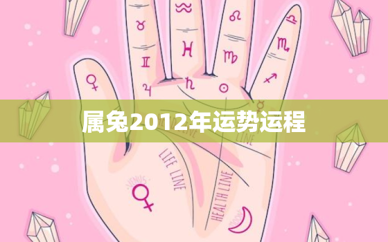 属兔2012年运势运程，2012年属兔人一生命运