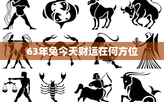 63年兔今天财运在何方位，生肖属63年兔今日财运势