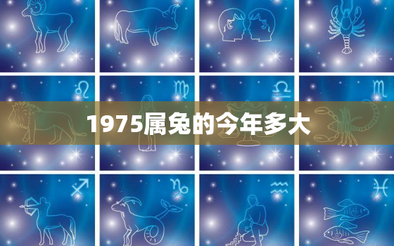 1975属兔的今年多大，1975属兔的今年多大2022