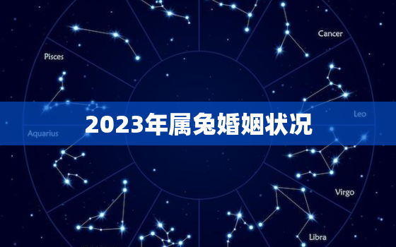 2023年属兔婚姻状况，2023年属兔人适合结婚吗