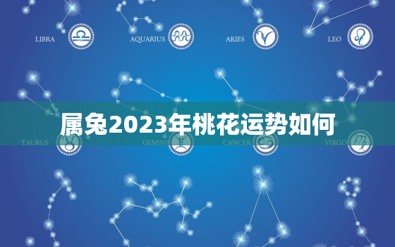 属兔2023年桃花运势如何，属兔人2023年的运势