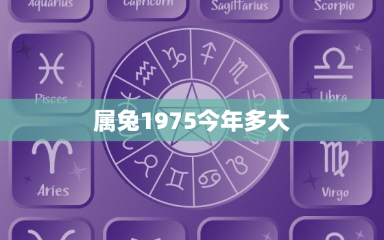 属兔1975今年多大，1975属兔今年几岁