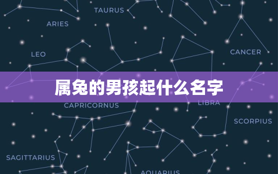 属兔的男孩起什么名字，属兔男孩最吉利的名字简单