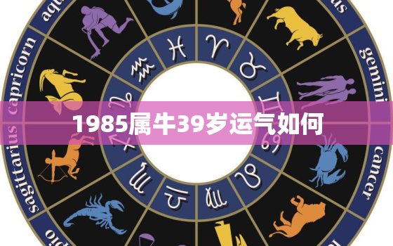 1985属牛39岁运气如何，1985属牛运势及运程