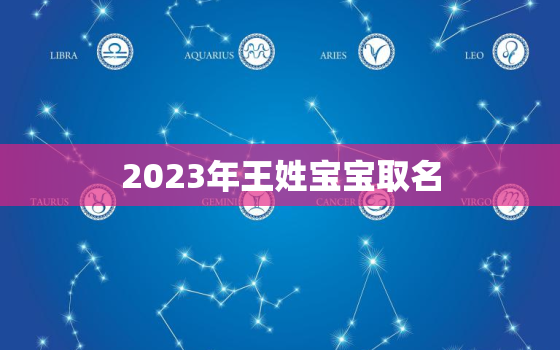 2023年王姓宝宝取名，2023年王姓宝宝取名大全