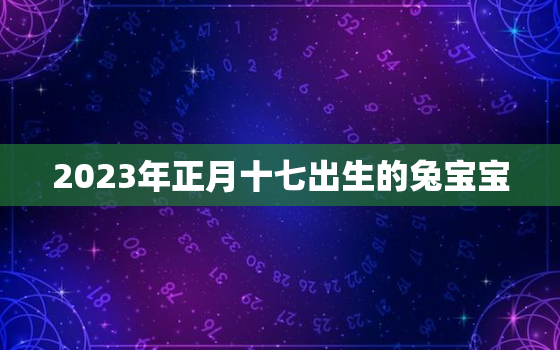 2023年正月十七出生的兔宝宝，2023年正月十七出生的兔宝宝取名