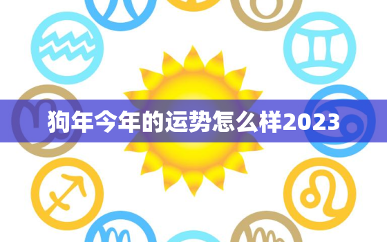 狗年今年的运势怎么样2023，狗年今年的运势怎么样2023年运程