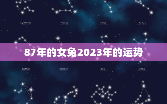 87年的女兔2023年的运势，1987年属兔人2023年运势