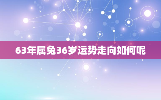 63年属兔36岁运势走向如何呢，63年属兔的运势怎么样