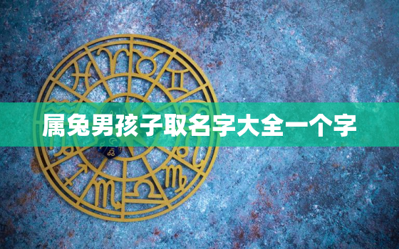 属兔男孩子取名字大全一个字，属兔男孩取名宜用字