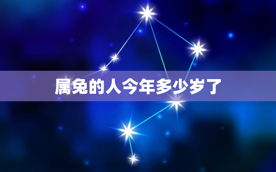 属兔的人今年多少岁了，属兔的人今年都多大了