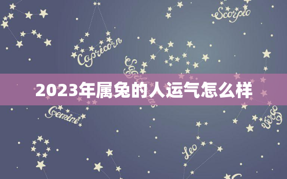 2023年属兔的人运气怎么样，2023年属兔人的命运