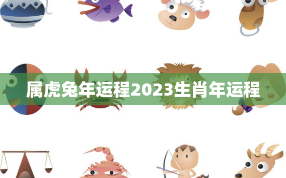 属虎兔年运程2023生肖年运程，虎年属兔运势2022年运势