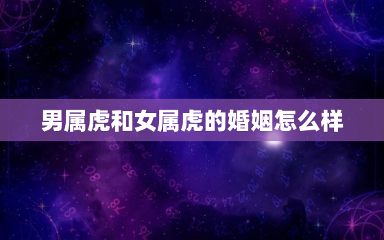 男属虎和女属虎的婚姻怎么样，98年两个虎适合做夫妻么