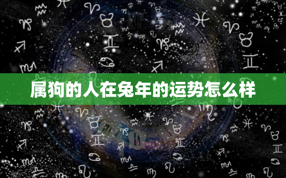 属狗的人在兔年的运势怎么样，属狗的人在兔年的运气